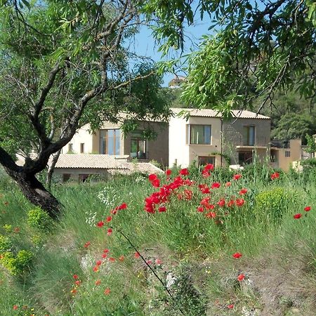 Alen D'Aragon Guest House Santa Eulalia de Gallego ภายนอก รูปภาพ
