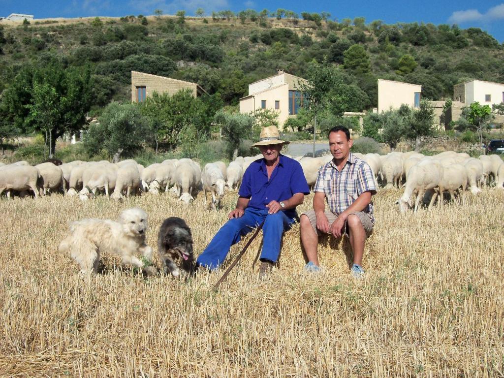 Alen D'Aragon Guest House Santa Eulalia de Gallego ภายนอก รูปภาพ